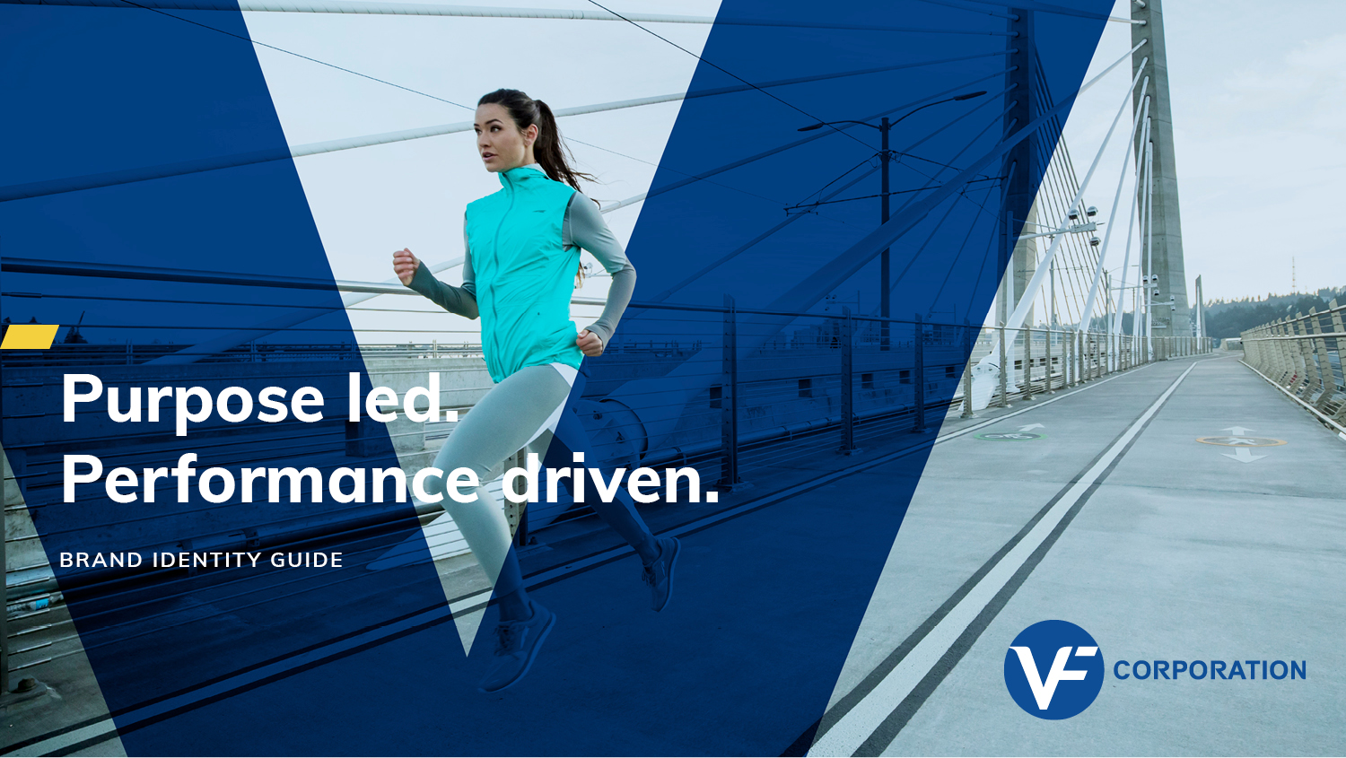 VF Brand Identity Standards